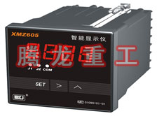 溫度表、數(shù)字顯示儀、濕度表