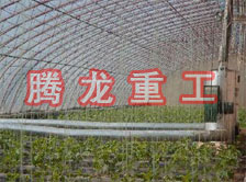 大棚花卉供暖設(shè)備、大棚卉采暖設(shè)備、大棚花卉取暖設(shè)備