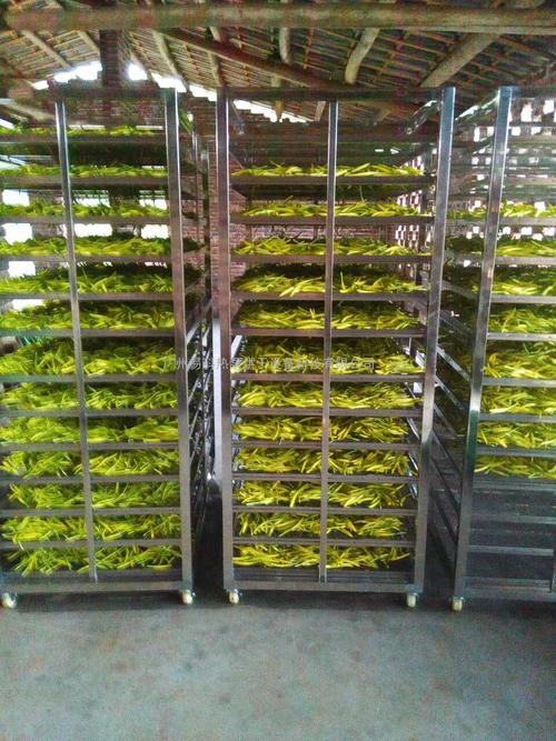 黃花菜烘干機、黃花菜烘干設(shè)備、黃花菜干燥機、黃花菜干燥設(shè)備、